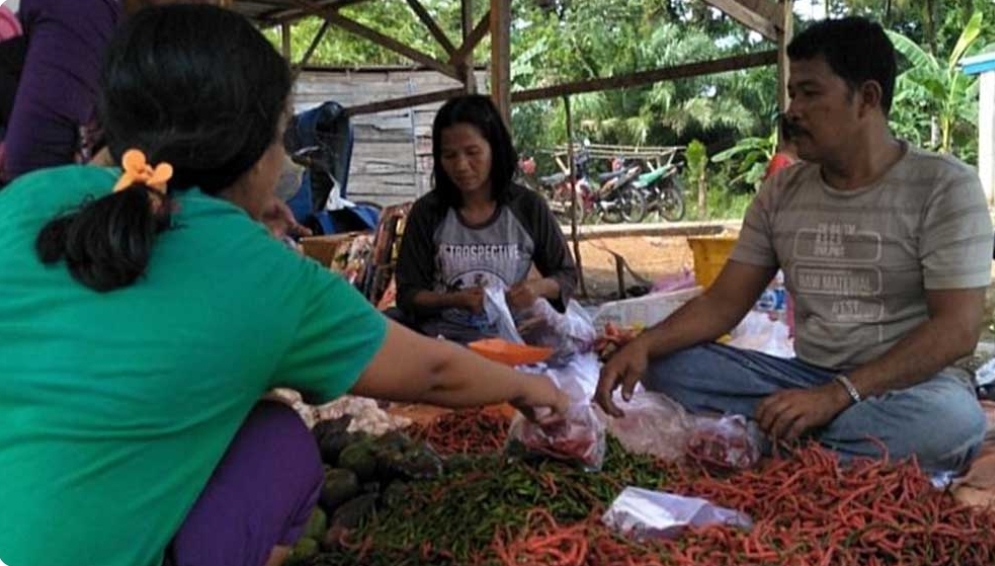 Musim Kemarau, Segini Harga Cabe di Kecamatan Sanga Desa