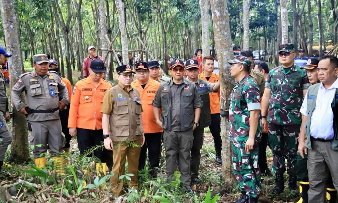 Tinjau Karhutla di Gelumbang, Pj Gubernur Sumsel dan BNPB Beri Dukungan dan Bantuan