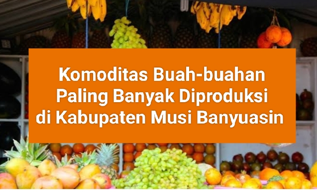 Bukan Mangga atau Duku, Inilah Komoditas Buah-buahan Paling Banyak Diproduksi di Kabupaten Musi Banyuasin