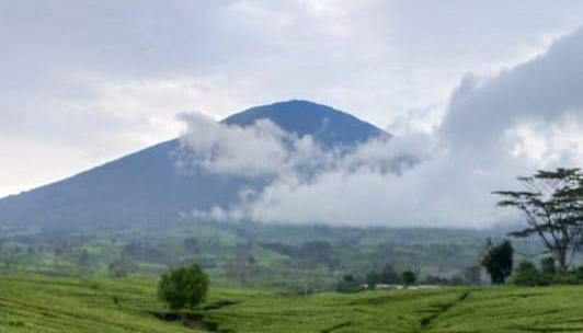 Ini 5 Gunung Tertinggi di Pulau Sumatera, Salah satunya Gunung Dempo Pagaralam . Cek Ketinggianya