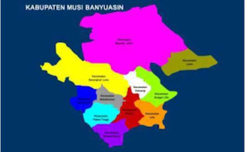 Daftar Kabupaten Terluas di Sumatera, Ternyata Musi Banyuasin Posisi Kedua