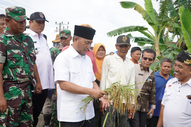 Carikan Solusi Agar Sawah di Desa Epil Tidak Banjir