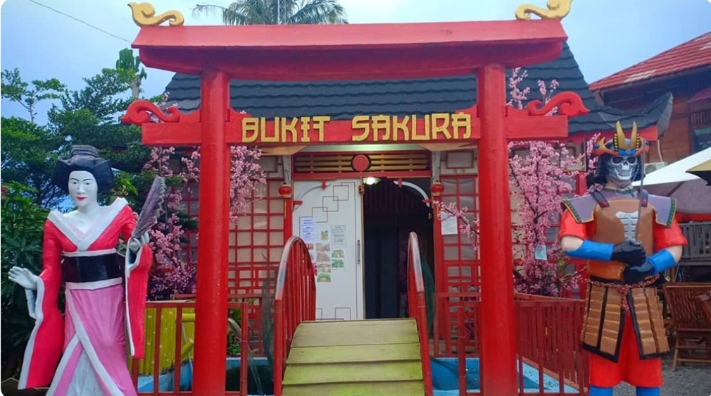 Bukit Sakura, Wisata Instagramable ala Jepang, Korea, dan Belanda di Bandar Lampung