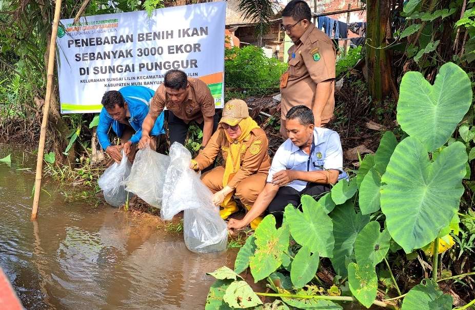 Pemerintah Kelurahan Tebar 3 Ribu Bibit Ikan Patin di Sungai Punggur