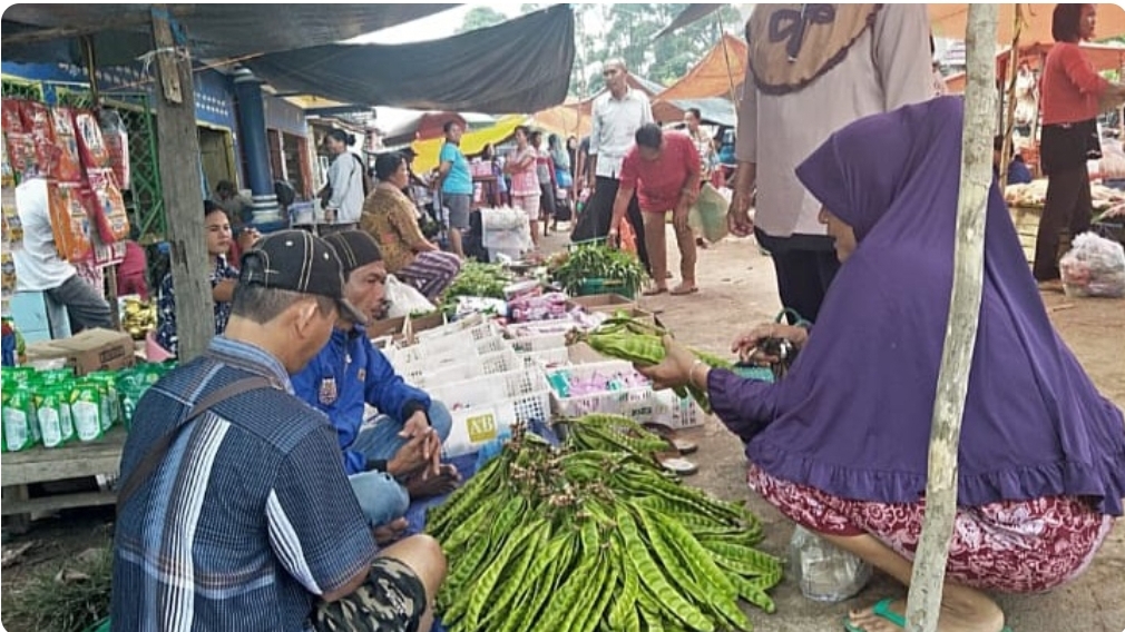 Meski Stok Banyak, Petai di Sanga Desa Masih Cukup Tinggi, Segini Harganya