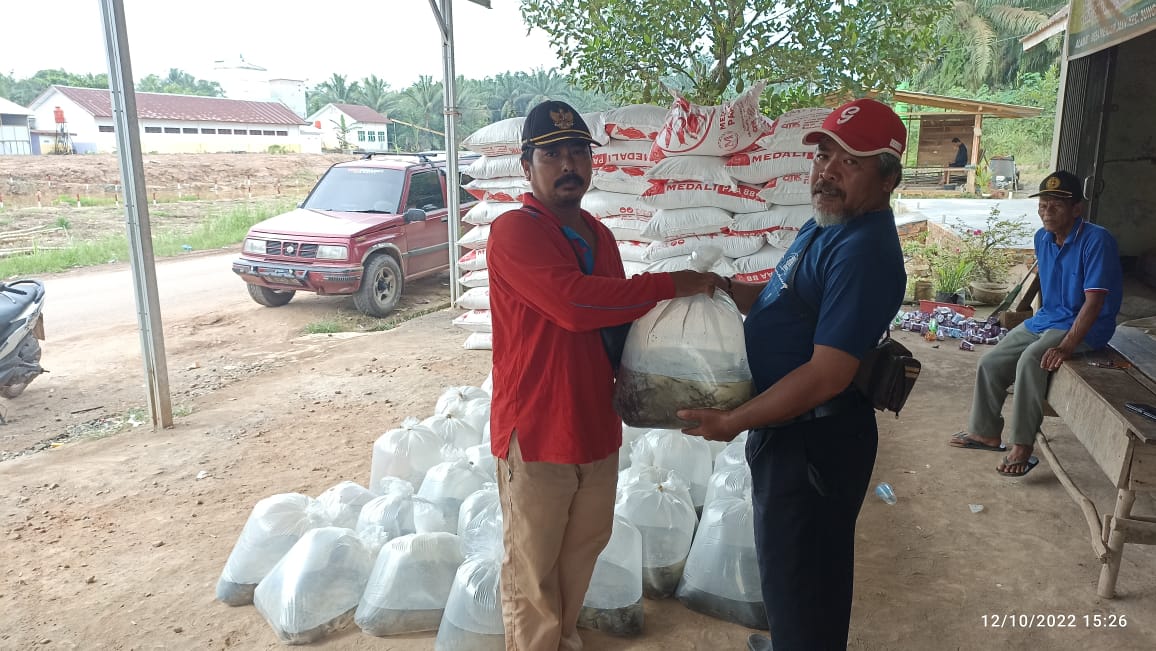 Program Kegiatan Ketahanan Pangan, Desa Mekar Jadi Beri Bantuan Bibit Ikan, Kambing Serta Bentuk KWT