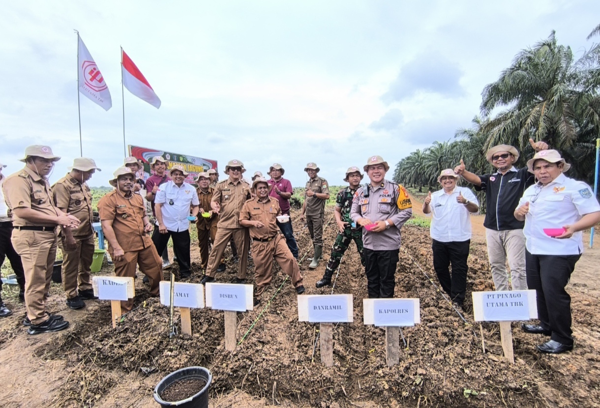 Tanam Jagung 4.4 Hektare, PT Pinago Utama Tbk dan Anak Perusahan Dukung Program Ketahanan Pangan