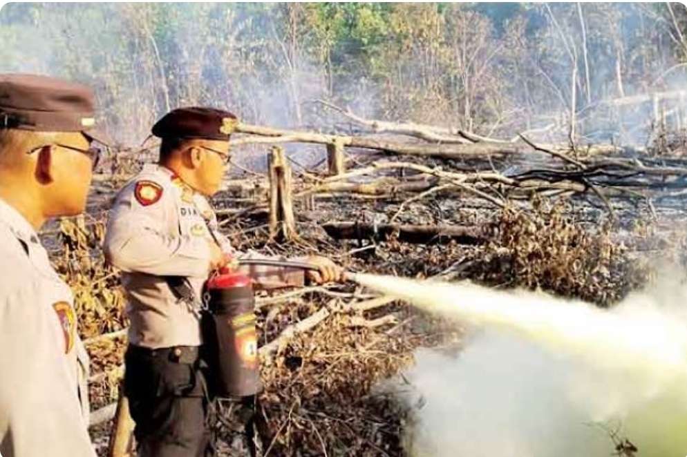 Akhir Mei Hotspot di Sumsel Meningkat Drastis, Muratara Paling Banyak