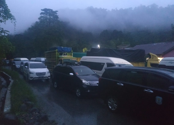 Jalan Bangko-Kerinci Macet, Dampak Pohon Tumbang