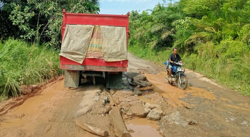 Body Kendaraan jadi Korban, Warga Plakat Tinggi Berharap ada Perbaikan Jalan