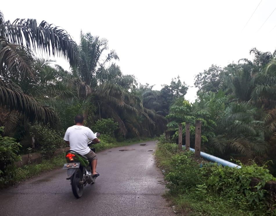 Besi Pengaman Jembatan di Jalan Poros TAB Banyak Hilang