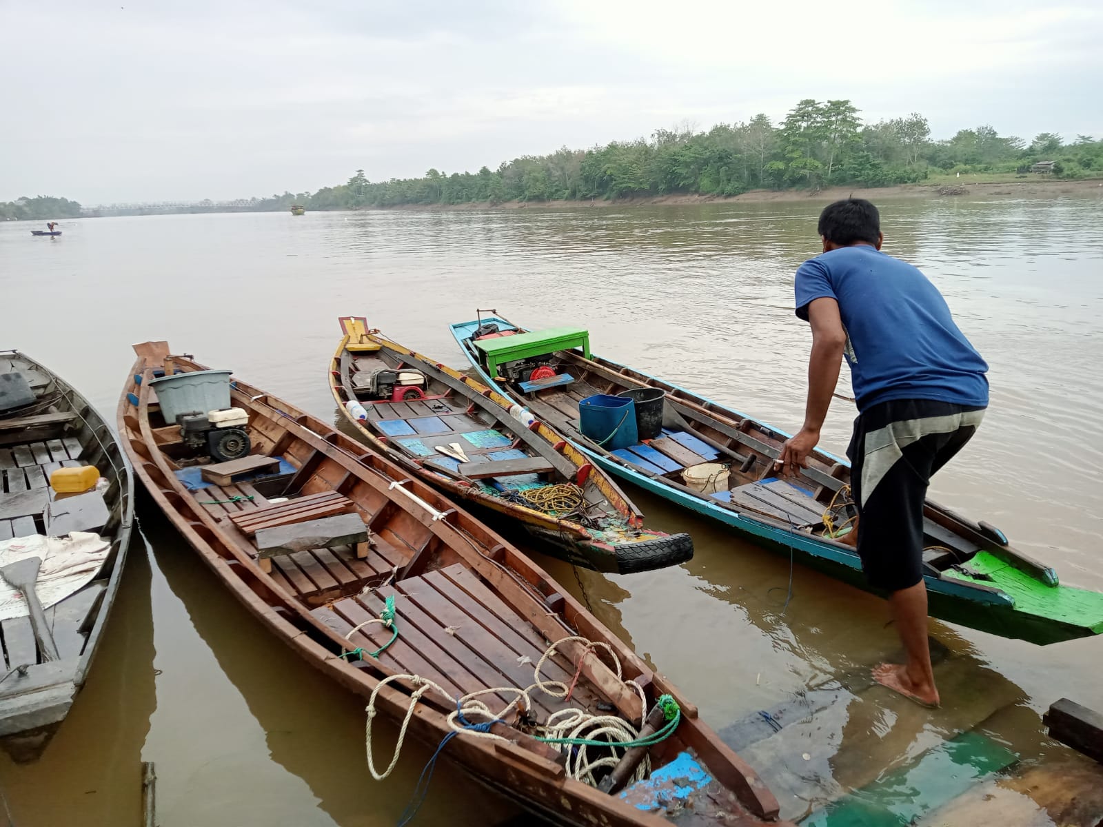 Jadi Pemasok Ikan Khas Sungai Musi di Pasar