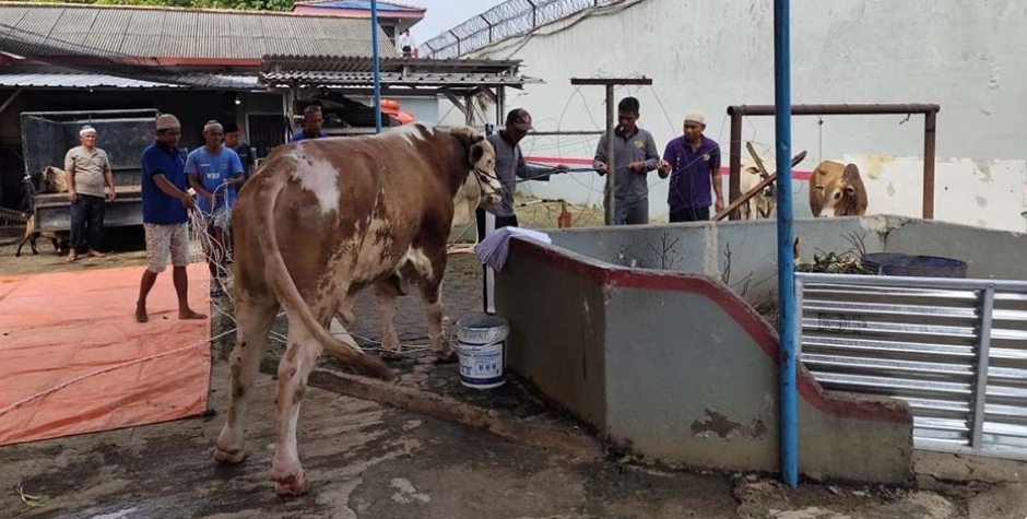 Rayakan Idul Adha 1445 H, Lapas Sekayu Bagikan Daging Hewan Kurban ke Warga Binaan