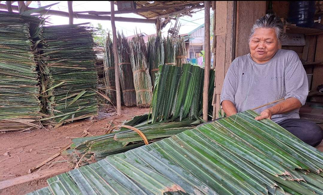 Desa Pinang Banjar Sungai Lilin Merupakan Sentra Penghasil Atap Daun Nipah