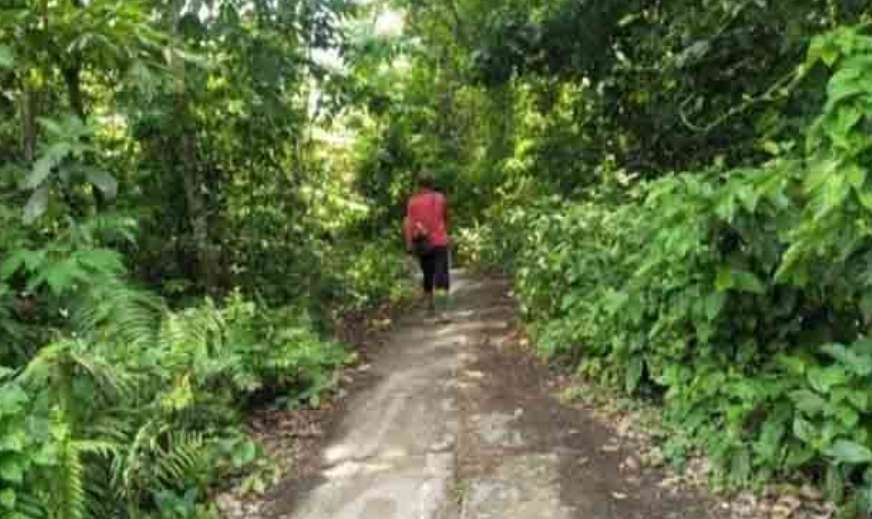 Ganggu Aktifitas, Jalan Menuju Areal Persawahan di Sanga Desa Ini Butuh Pembersihan