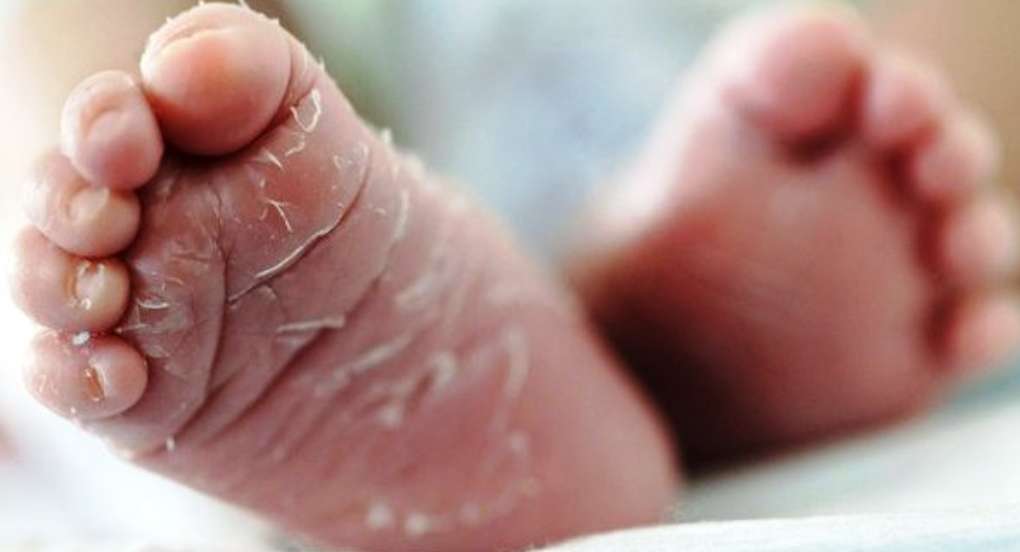 Heboh, Penemuan Bayi Dibelakang Rumah Kades di Kabupaten OKI, Kondisinya Sudah Meninggal