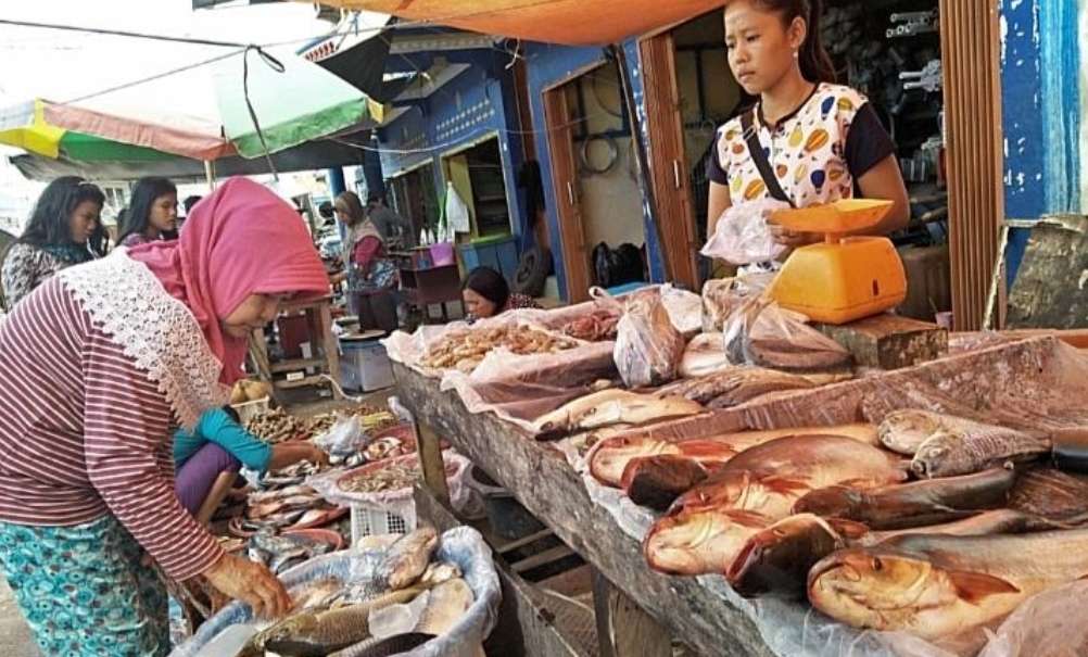 Penjualan Ikan Laut di Sanga Desa Masih Stabil, Ikan Lele dan Nila Turun Harga