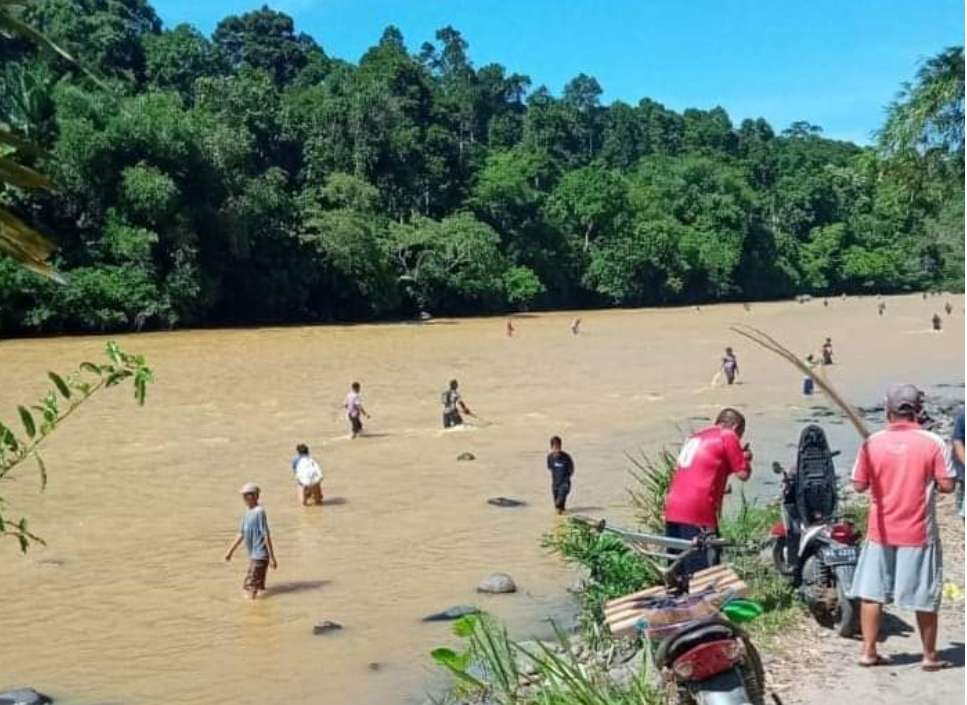 Siap-siap Fenomena Ikan Mabuk di Sungai Musi Terjadi Lagi, Dampak Erupsi Gunung Dempo