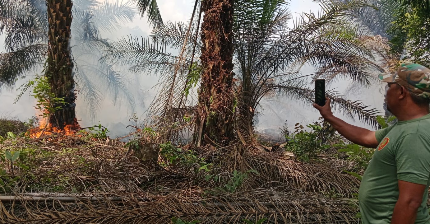 Kebakaran Lahan Terjadi di Kelurahan Sungai Lilin, Petugas Kesulitan Memadamkan