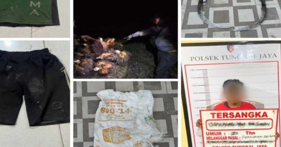 Polsek Tungkal Jaya Ringkus Pencuri Sawit, Dua Rekannya Kabur Saat Disergap