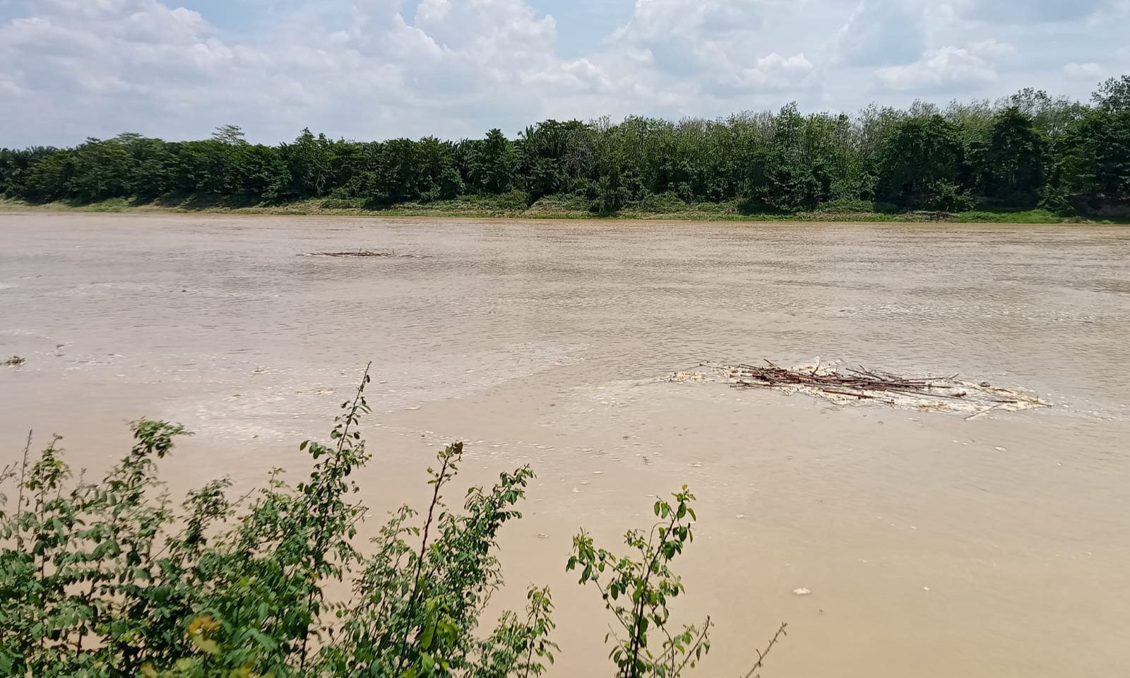 Kondisi Air Sungai Musi di Sekayu Pasca Diguyur Hujan, Keruh dan Banyak Rempan, Tidak Layak Guna