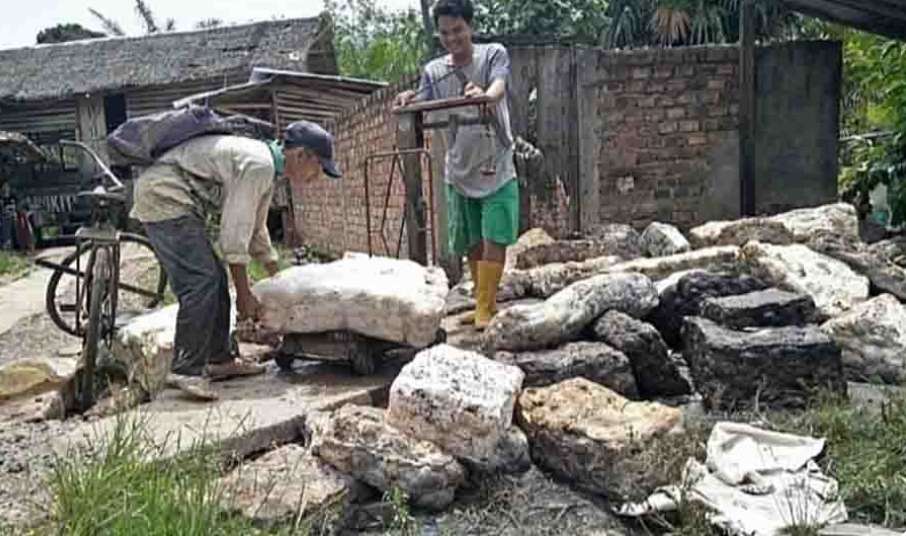 Produksi Getah Karet di Kecamatan Sanga Desa Turun Drastis, Ini Penyebabnya