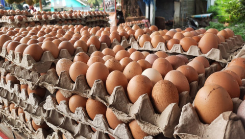 Kamu Perlu Tahu, Ternyata Ini Batas Maksimal Konsumsi Telur per Hari Agar Kolesterol Tidak Naik