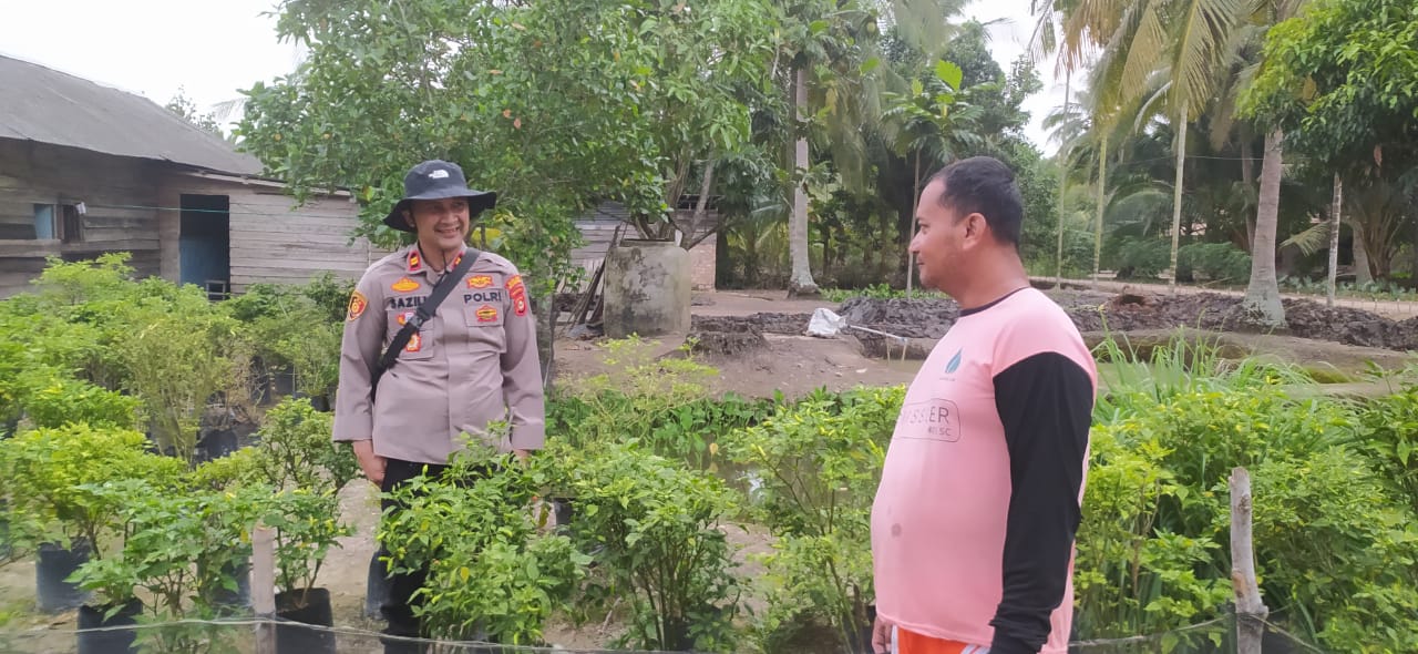 Polsek Lalan Dorong Ketahanan Pangan, Warga Sukajadi Gencar Tanam Cabai