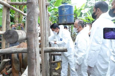 Minim Dokter Hewan, Hanya 2 Orang ASN 