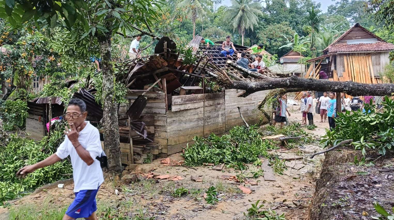 Hujan Deras dan Angin Kencang, Rumah Warga Tebing Bulang Tertimpa Pohon