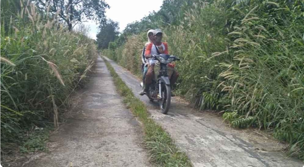 Hampir Dipenuhi Rumput, Jalan di Kelurahan Ngulak Kecamatan Sanga Desa Ini Butuh Dibersihkan