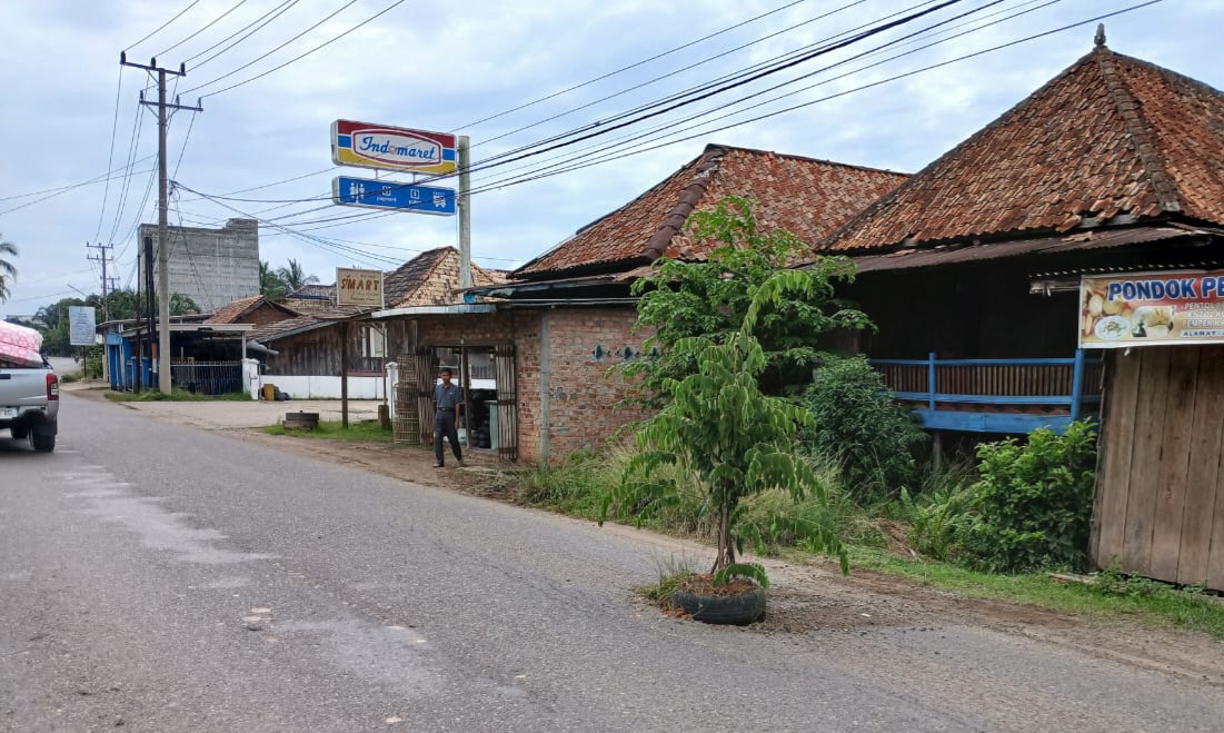 Bentuk Kewaspadaan, Warga Desa Toman Tanam Pohon Ditengah Jalan Sekayu Lubuk Linggau