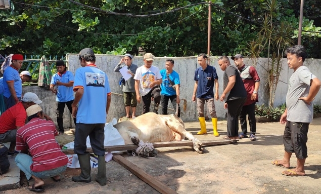 Sumatera Ekspres Grup Potong Tiga Ekor Hewan Kurban