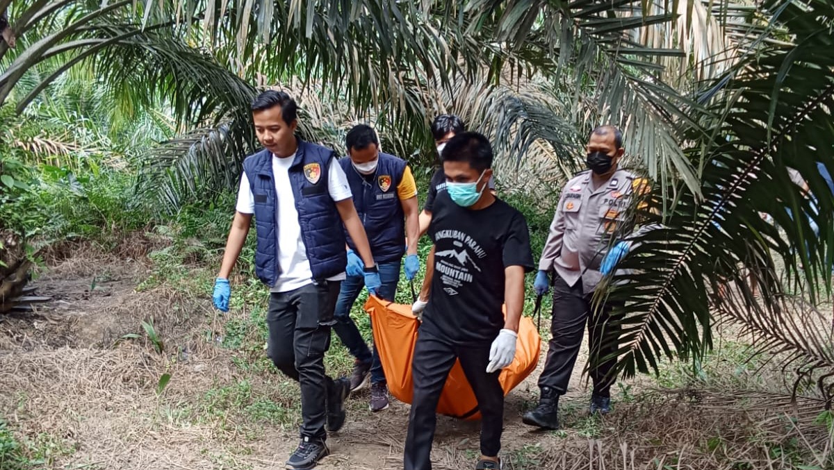 Heboh Penemuan Jenazah Tergantung di Kebun Sawit di Keluang, Mukanya Mengenaskan