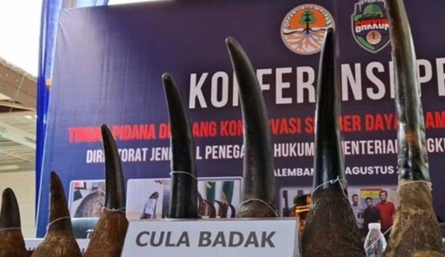 Kasus Perdagangan Garing Gajah di Palembang Masuk Tahap II, Nilainya Capai 245 Juta 