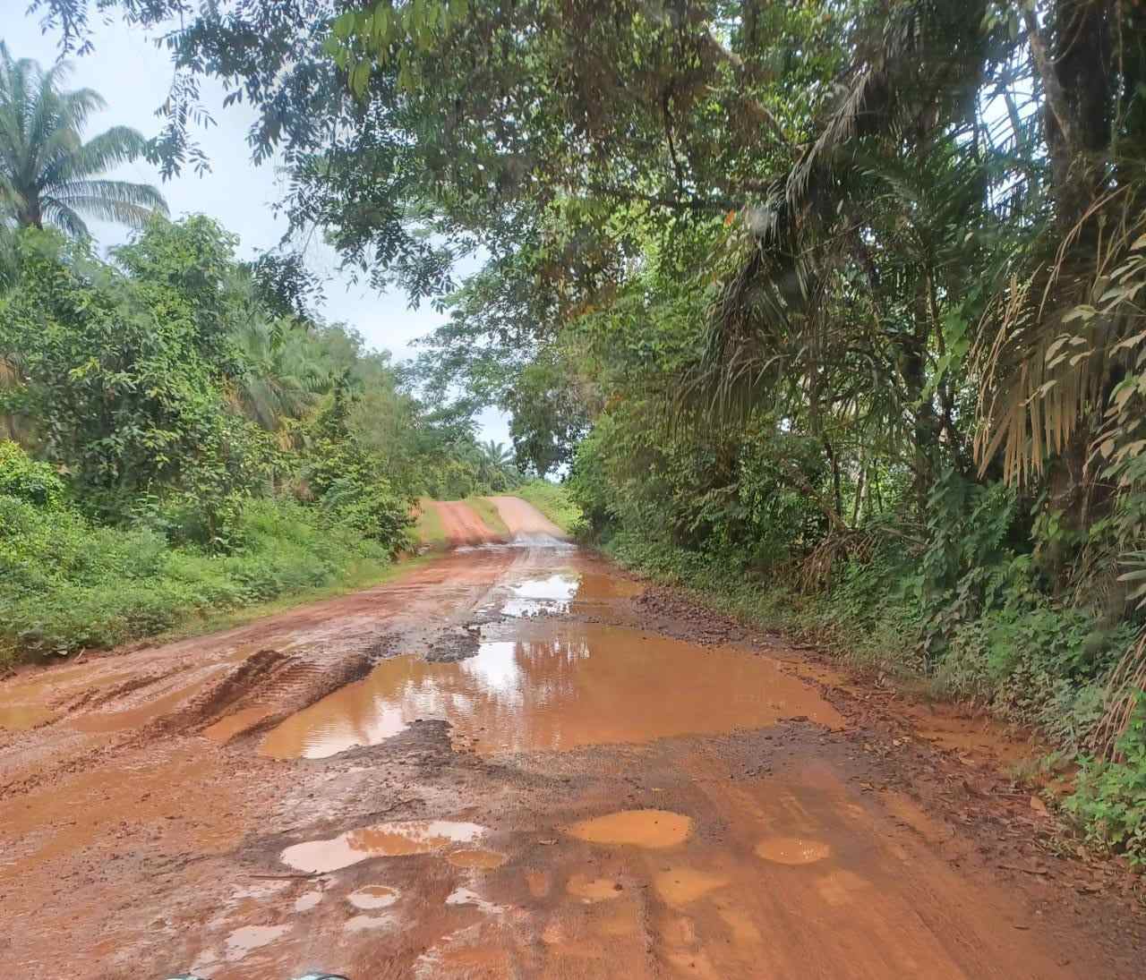 Menyedihkan, Beginilah Kondisi Jalan Bonot Kecamatan Lais di Musim Hujan, Becek dan Penuh Genangan Air