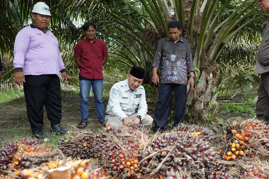 Bantu Bibit Hingga Buka Lahan Tanpa Bakar, Kepemimpinan Apriyadi Sukses Perluas Kebun Swadaya Masyarakat