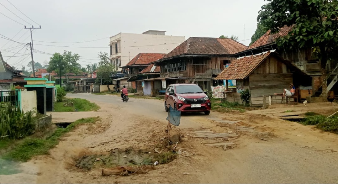 Semakin Parah, Begini Kondisi Kerusakan Jalan di Desa Rantau Sialang