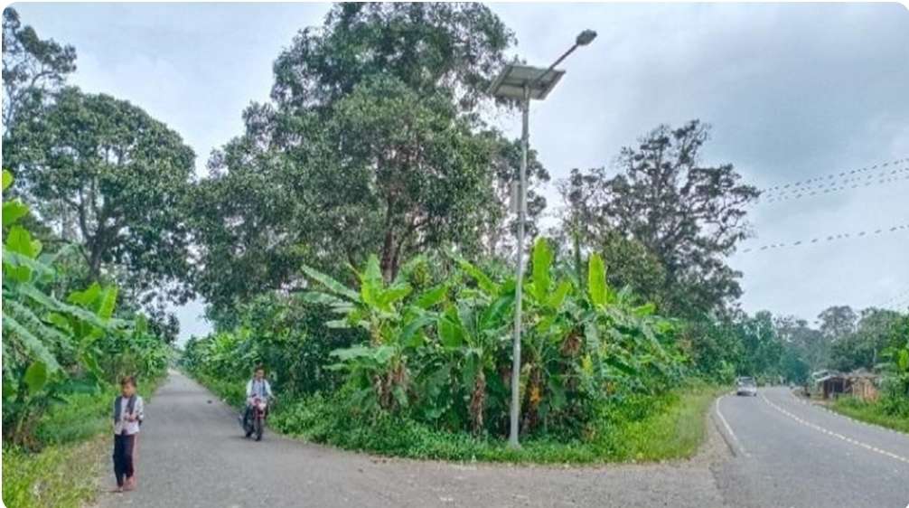 Kurangi Kecelakaan, Persimpangan Jalan di Jalinteng Sanga Desa Butuh Rambu Lalulintas