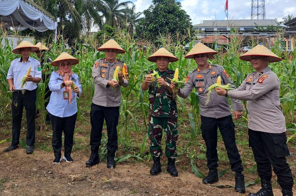 Polres Muba Gelar Panen Raya Jagung Tahap 1 Sebanyak 20 H, Secara Simbolis Digelar di Sungai Lilin