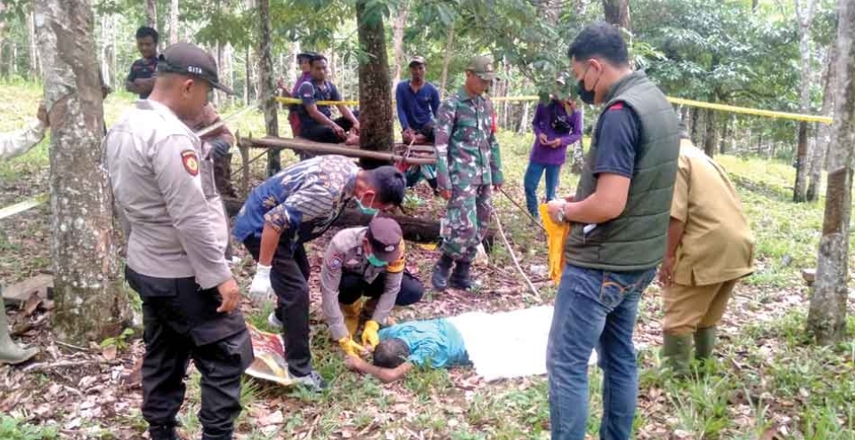 Pria Paruh Baya di Mura Ditemukan Meninggal di Kebun Karet, Ini Dugaan Penyebabnya