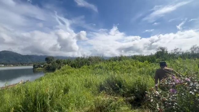 Munculnya Pulau Baru di Danau Kerinci Hebohkan Masyarakat, Analisis Dosen UGM Mengungkap Fakta Menarik