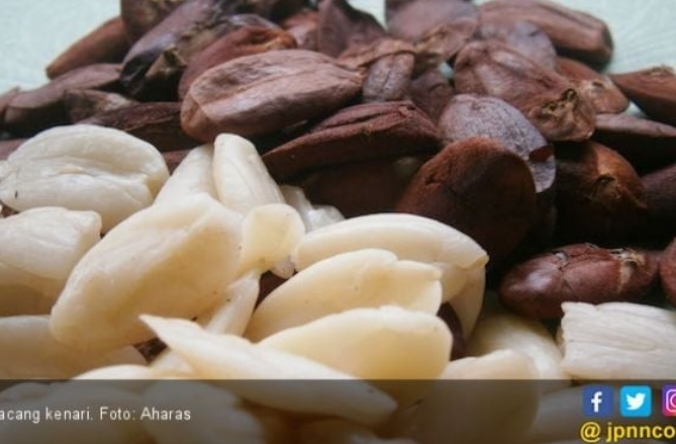 Kacang Kenari Ternyata Ampuh Cegah Penyakit Kronis