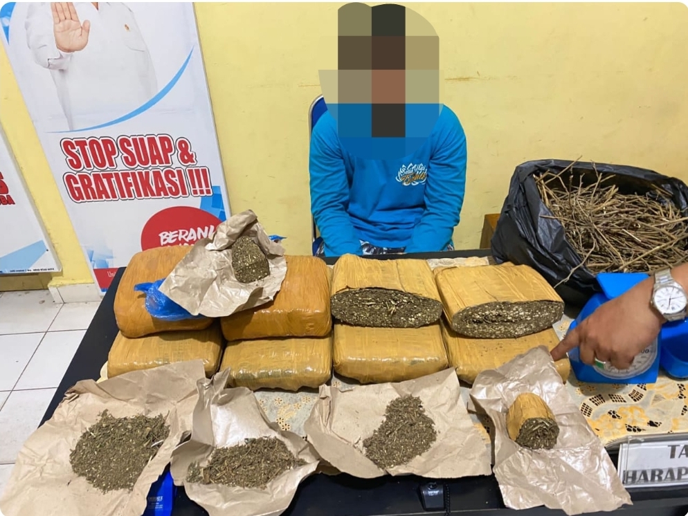 Tangkap Bandar Narkoba Asal Baturaja, BNNK OKU Timur Sita 7 Kilo Ganja