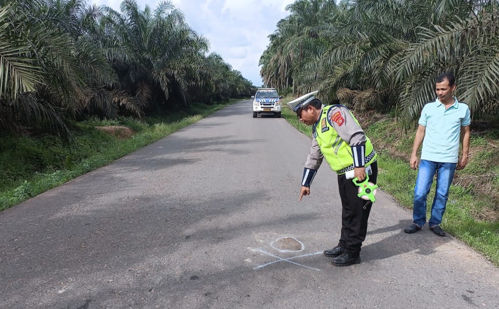 Nabrak Sapi di Desa Tegal Mulyo Keluang, Pengendara Meninggal Dunia 