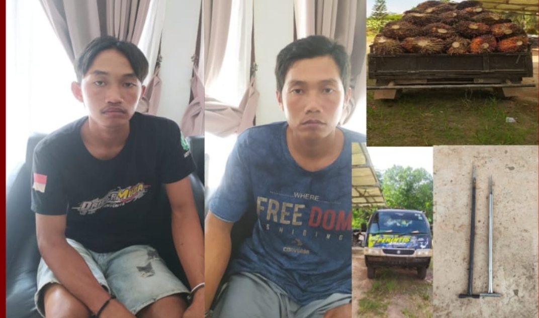 Polsek Lalan Amankan Dua Pelaku Pencurian Sawit 1,4 Ton, Satu Buron