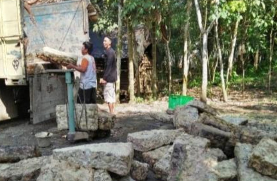 Jelang Masuk Ramadhan Petani Karet Lesu, Harga Getah di Salah Satu UPPB Turun Tipis