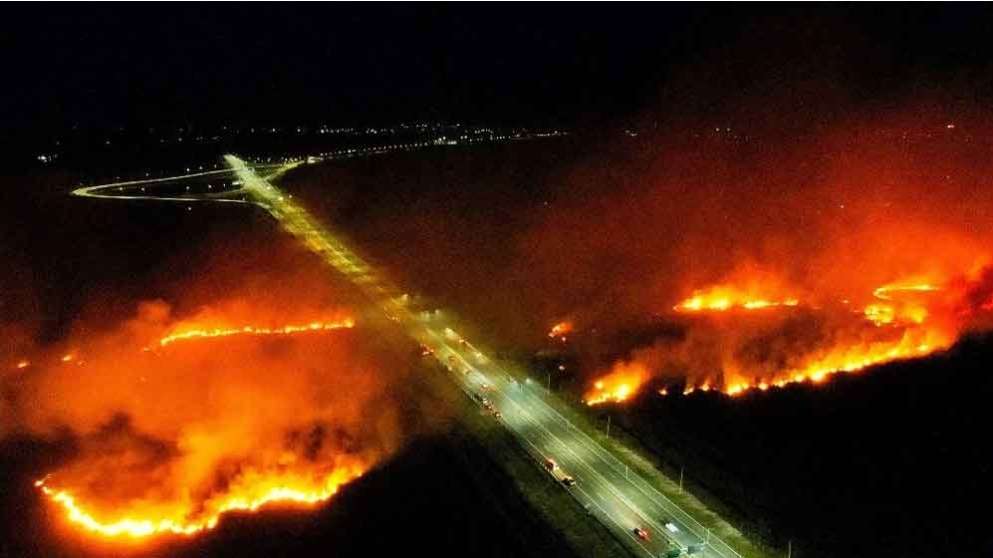 Penampakan Kebakaran Lahan di Sekitar Areal Tol Palembang Indralaya