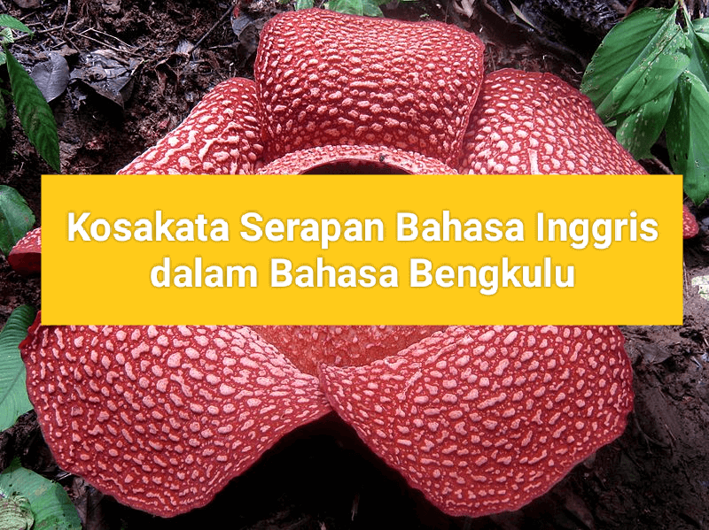 Daftar Kosakata Serapan Inggris Dalam Bahasa Bengkulu, Ternyata Penyebutan Sangat Mirip Loh!