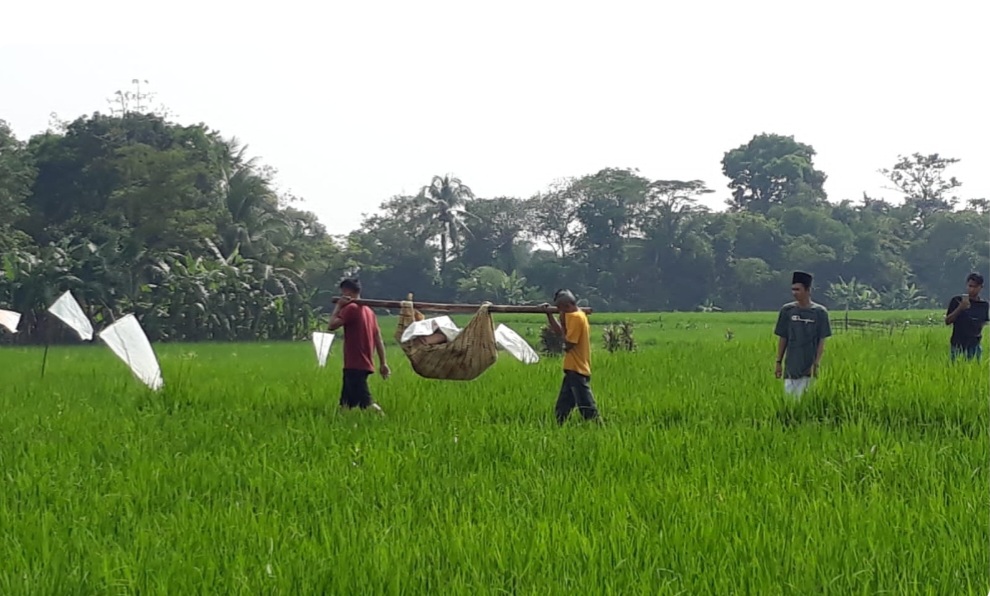 Sesosok Mayat Perempuan Ditemukan dalam Keadaan Telungkup di Pematang Sawah di Bojongpicung Cianjur